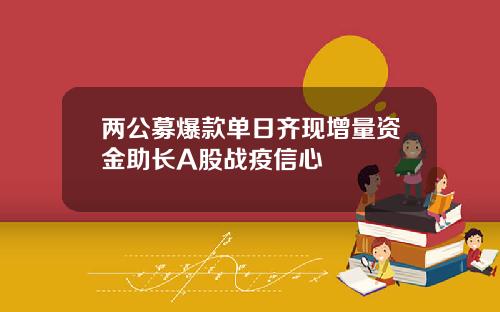 两公募爆款单日齐现增量资金助长A股战疫信心