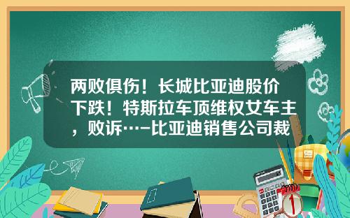 两败俱伤！长城比亚迪股价下跌！特斯拉车顶维权女车主，败诉…-比亚迪销售公司裁员【新闻】.