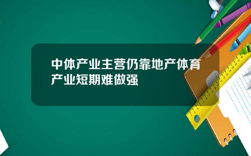 中体产业主营仍靠地产体育产业短期难做强
