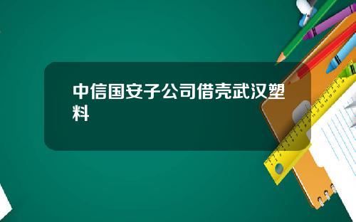 中信国安子公司借壳武汉塑料