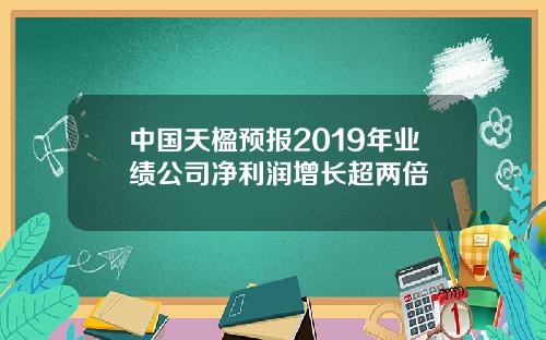 中国天楹预报2019年业绩公司净利润增长超两倍