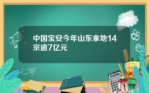 中国宝安今年山东拿地14宗逾7亿元