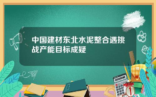 中国建材东北水泥整合遇挑战产能目标成疑