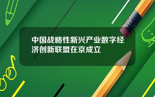 中国战略性新兴产业数字经济创新联盟在京成立