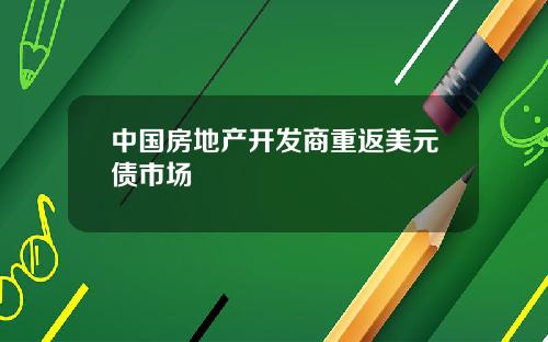 中国房地产开发商重返美元债市场