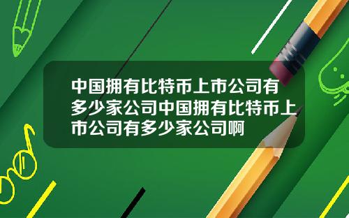 中国拥有比特币上市公司有多少家公司中国拥有比特币上市公司有多少家公司啊