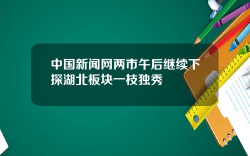 中国新闻网两市午后继续下探湖北板块一枝独秀