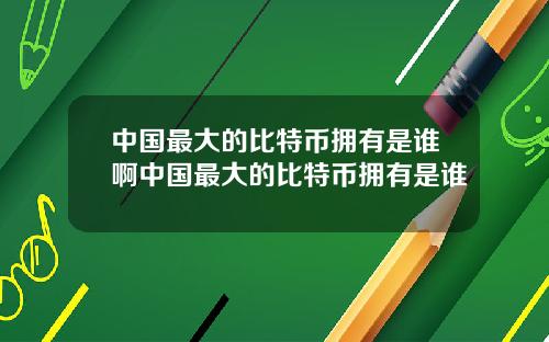 中国最大的比特币拥有是谁啊中国最大的比特币拥有是谁