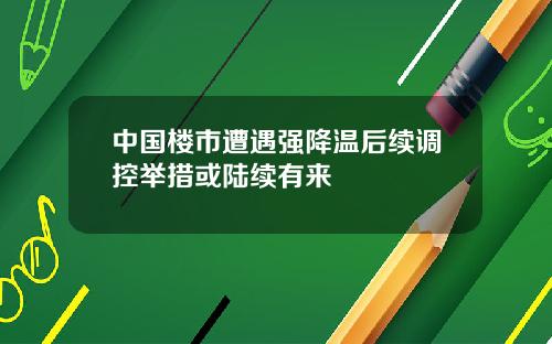 中国楼市遭遇强降温后续调控举措或陆续有来