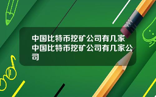 中国比特币挖矿公司有几家中国比特币挖矿公司有几家公司