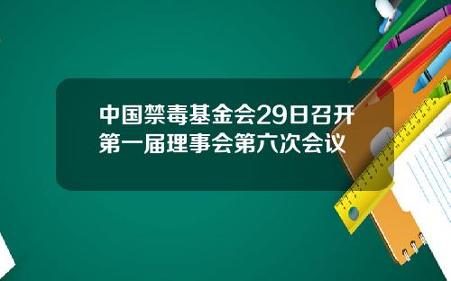 中国禁毒基金会29日召开第一届理事会第六次会议