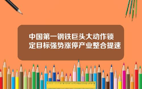 中国第一钢铁巨头大动作锁定目标强势涨停产业整合提速