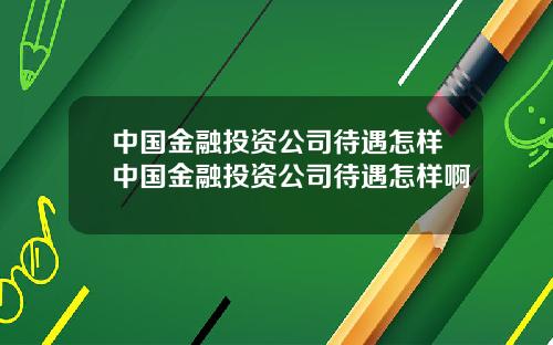 中国金融投资公司待遇怎样中国金融投资公司待遇怎样啊