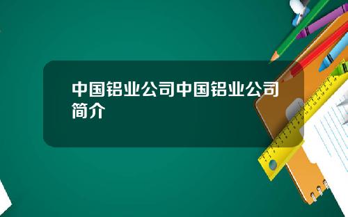 中国铝业公司中国铝业公司简介