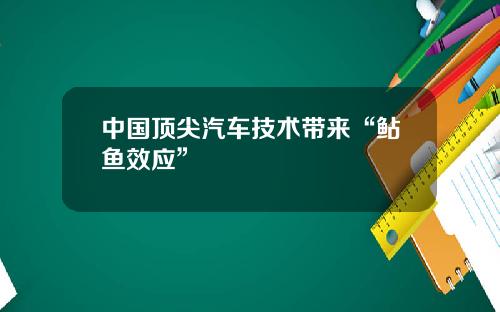 中国顶尖汽车技术带来“鲇鱼效应”