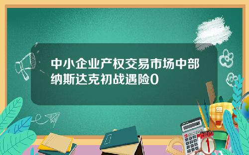 中小企业产权交易市场中部纳斯达克初战遇险0