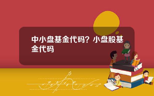 中小盘基金代码？小盘股基金代码