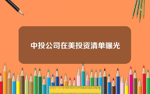 中投公司在美投资清单曝光