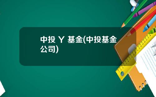 中投 Y 基金(中投基金公司)