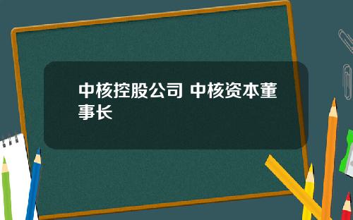 中核控股公司 中核资本董事长