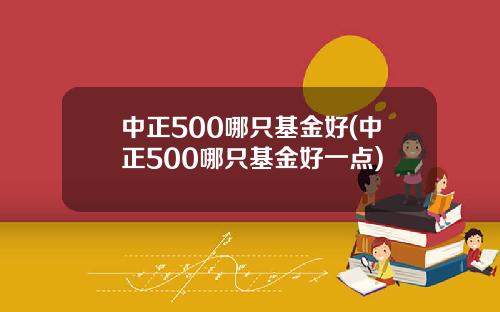 中正500哪只基金好(中正500哪只基金好一点)