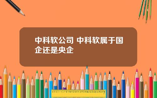 中科软公司 中科软属于国企还是央企