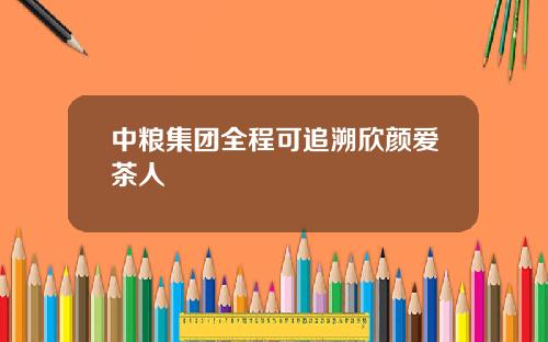中粮集团全程可追溯欣颜爱茶人