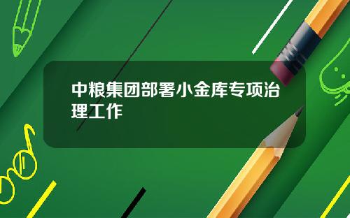 中粮集团部署小金库专项治理工作