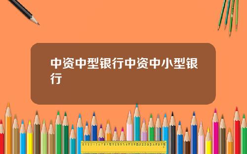 中资中型银行中资中小型银行