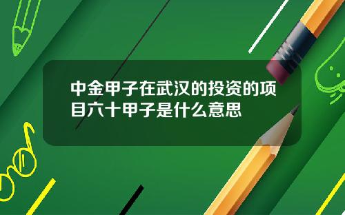中金甲子在武汉的投资的项目六十甲子是什么意思