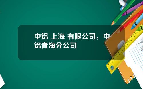 中铝 上海 有限公司，中铝青海分公司