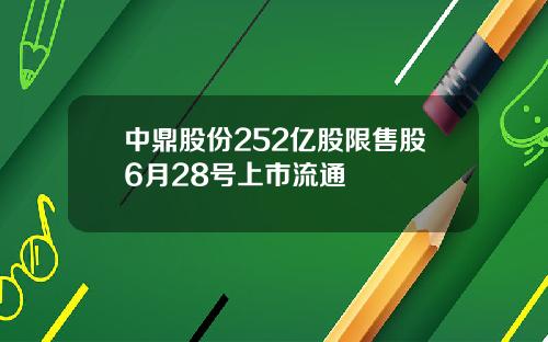 中鼎股份252亿股限售股6月28号上市流通