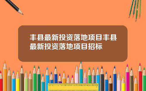 丰县最新投资落地项目丰县最新投资落地项目招标