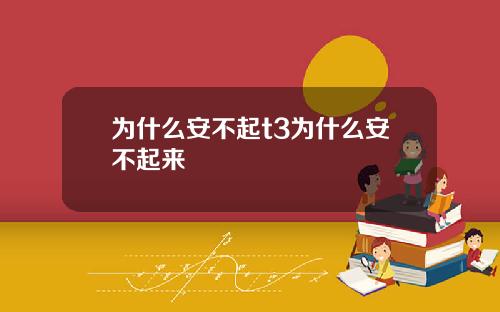 为什么安不起t3为什么安不起来