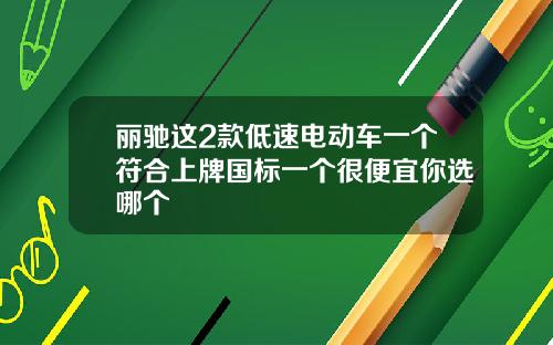 丽驰这2款低速电动车一个符合上牌国标一个很便宜你选哪个