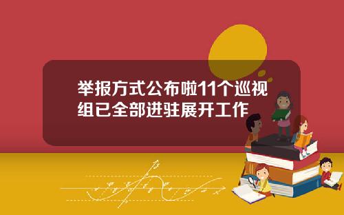 举报方式公布啦11个巡视组已全部进驻展开工作