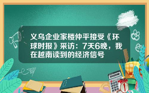 义乌企业家楼仲平接受《环球时报》采访：7天6晚，我在越南读到的经济信号