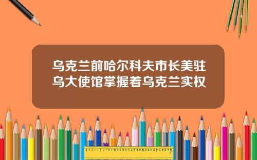 乌克兰前哈尔科夫市长美驻乌大使馆掌握着乌克兰实权