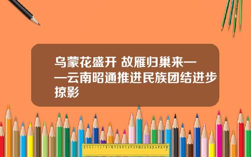 乌蒙花盛开 故雁归巢来——云南昭通推进民族团结进步掠影