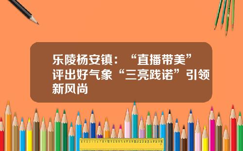 乐陵杨安镇：“直播带美”评出好气象“三亮践诺”引领新风尚
