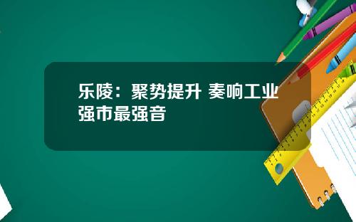 乐陵：聚势提升 奏响工业强市最强音