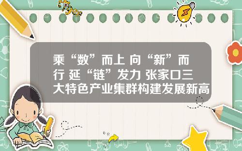 乘“数”而上 向“新”而行 延“链”发力 张家口三大特色产业集群构建发展新高地