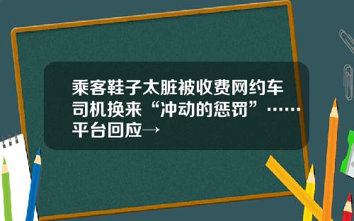 乘客鞋子太脏被收费网约车司机换来“冲动的惩罚”……平台回应→