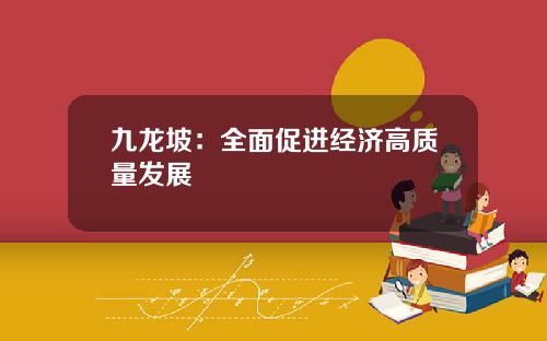 九龙坡：全面促进经济高质量发展