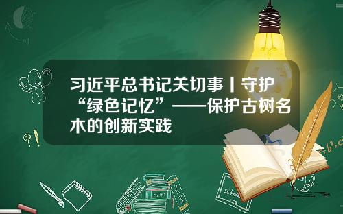 习近平总书记关切事丨守护“绿色记忆”——保护古树名木的创新实践