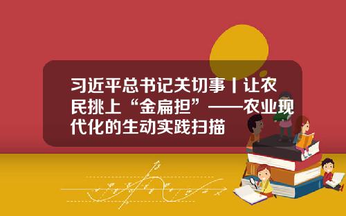 习近平总书记关切事丨让农民挑上“金扁担”——农业现代化的生动实践扫描