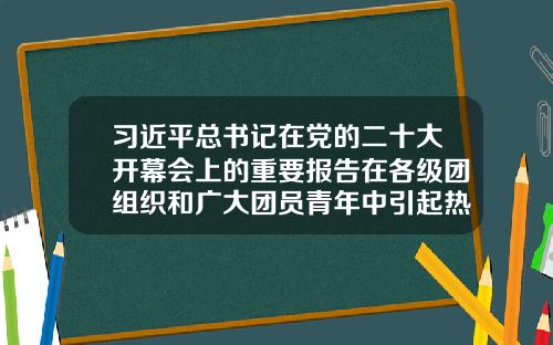 习近平总书记在党的二十大开幕会上的重要报告在各级团组织和广大团员青年中引起热烈反响