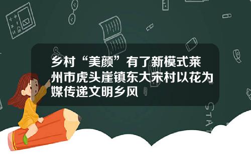 乡村“美颜”有了新模式莱州市虎头崖镇东大宋村以花为媒传递文明乡风