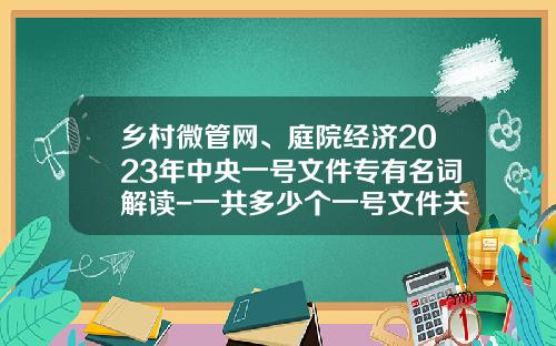 乡村微管网、庭院经济2023年中央一号文件专有名词解读-一共多少个一号文件关于农村