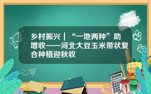 乡村振兴｜“一地两种”助增收——河北大豆玉米带状复合种植迎秋收